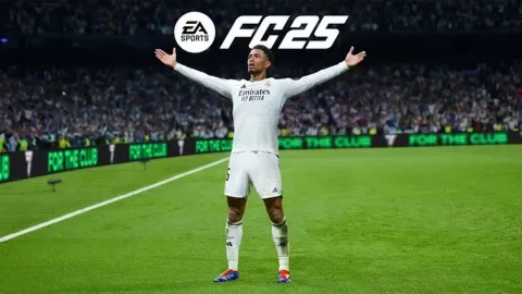 EA Sports FC 25 Ps4 Ps5 общий