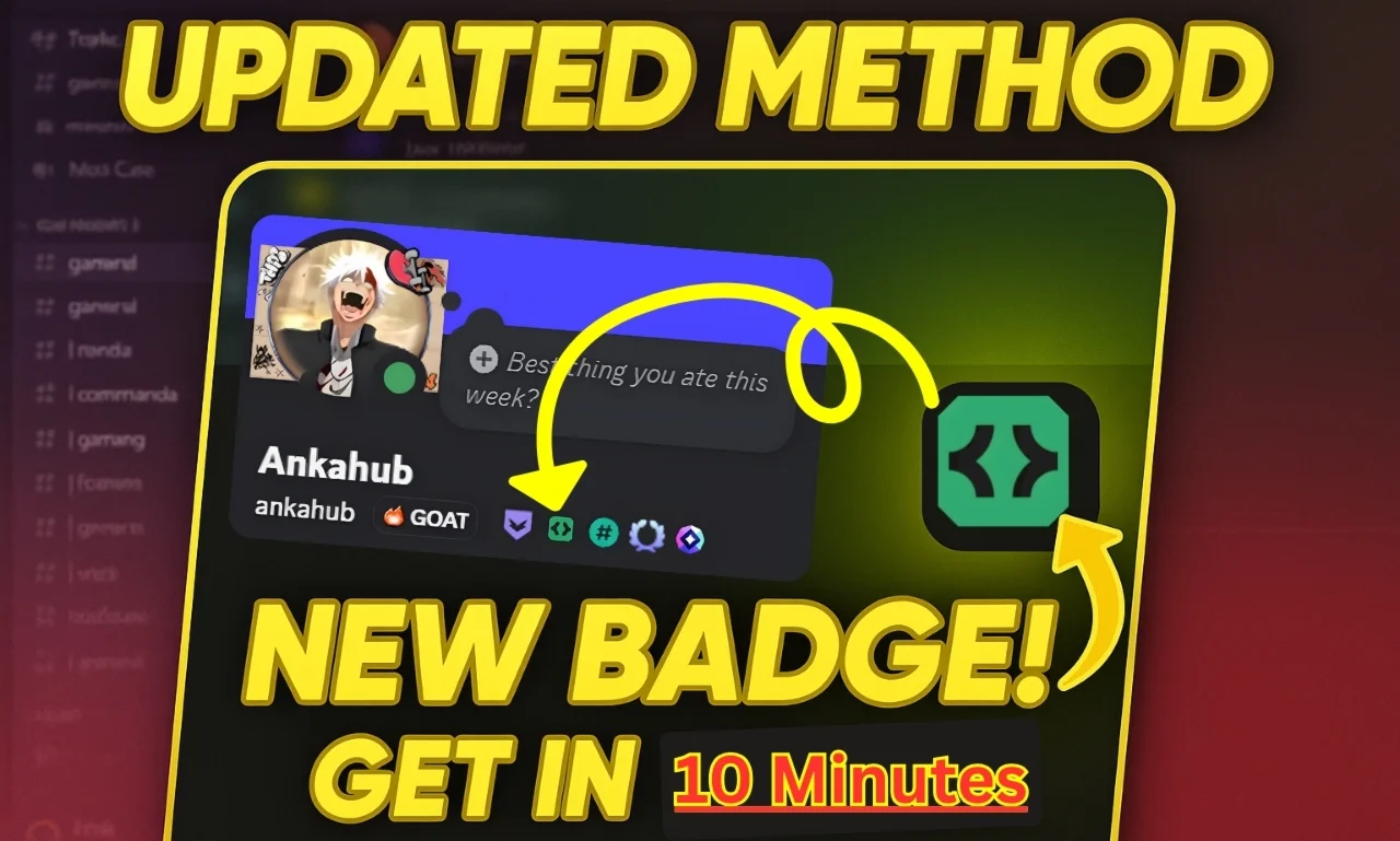 Бот бейджа разработчика Discord Быстро и безопасно