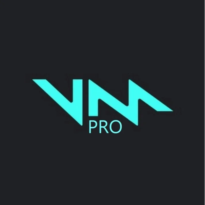 VOICEMOD PRO на 1 год Лицензионный ключ