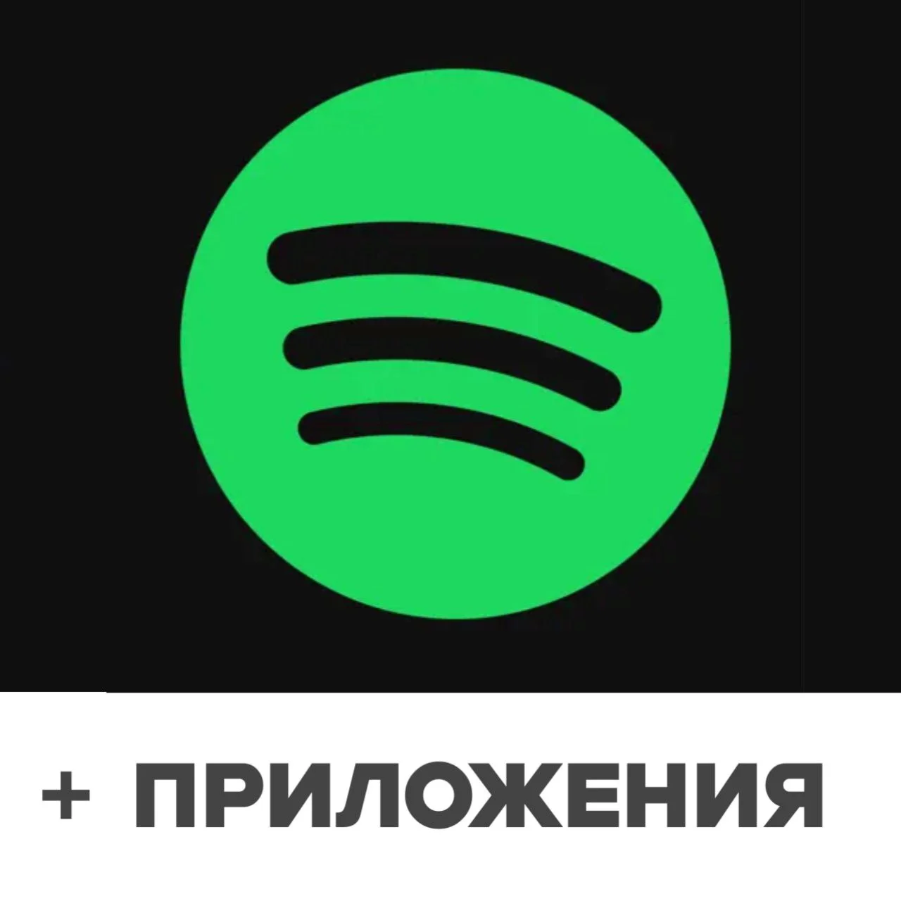 Spotify AppStore IOS iPhone На 24 часа +