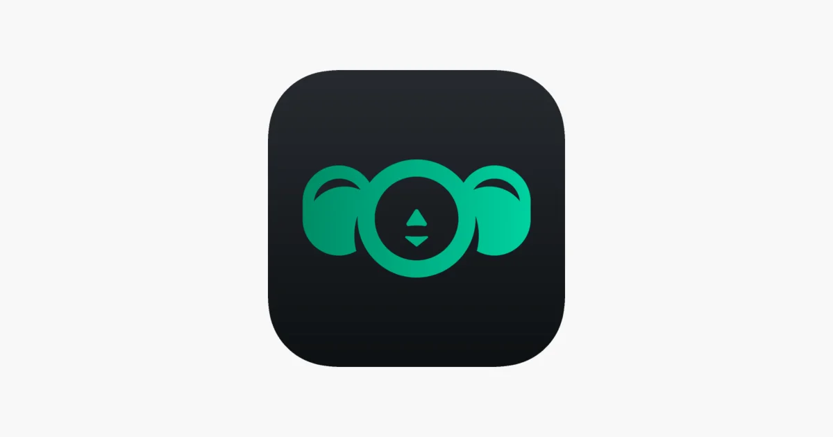 4ebur VPN // PREMIUM КЛЮЧ // ДО 08/08/2025