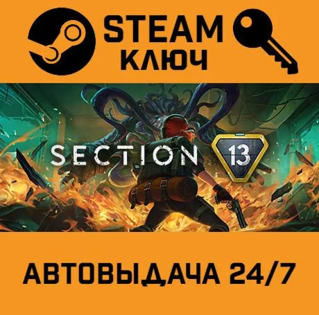 Section 13 STEAM-ключ Global