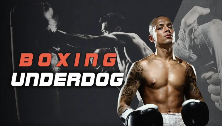 Boxing Underdog для oculus quest 2 3s gift