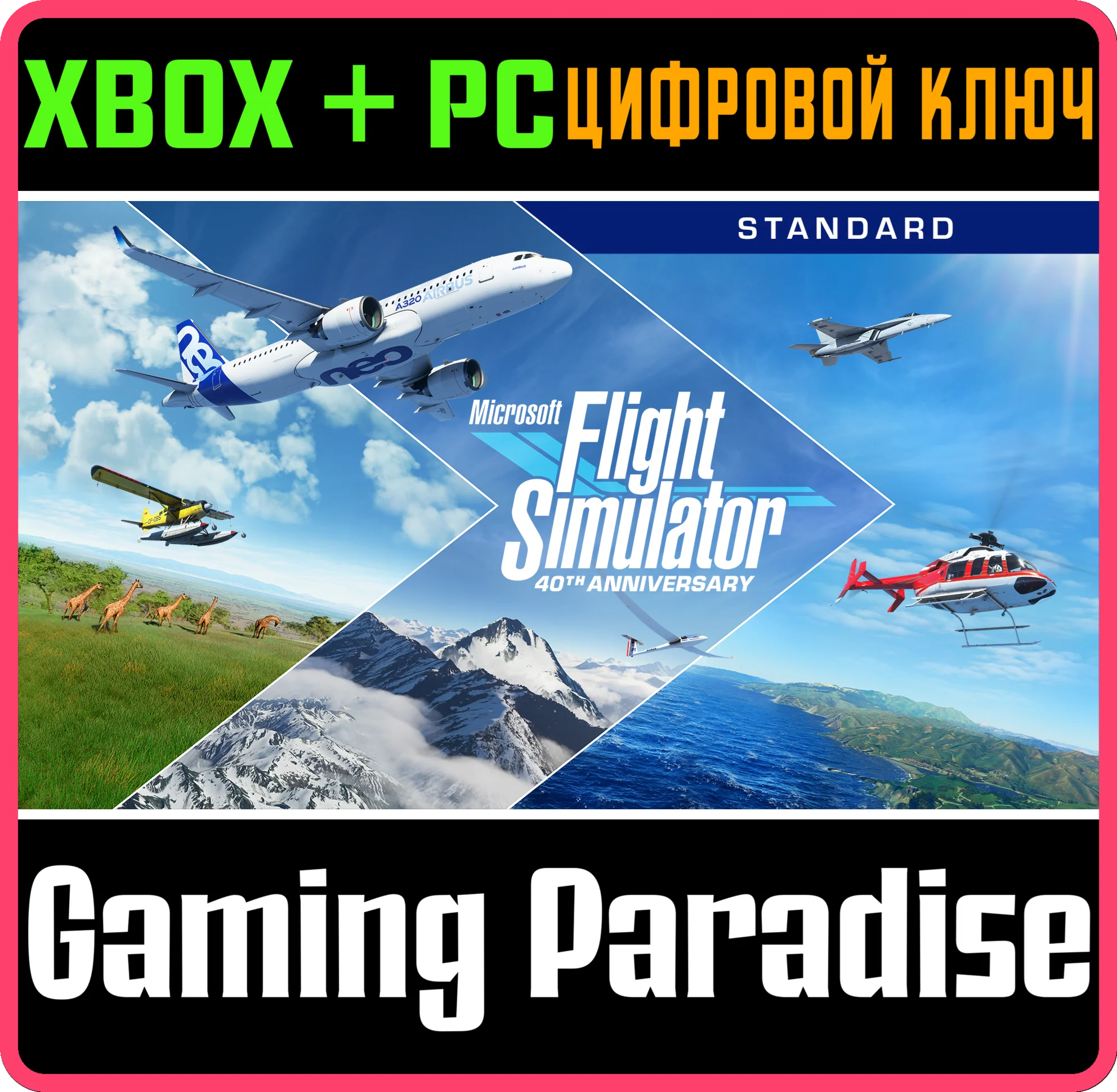 MICROSOFT FLIGHT SIMULATOR STANDARD 40THXBOX+PCКЛЮЧ