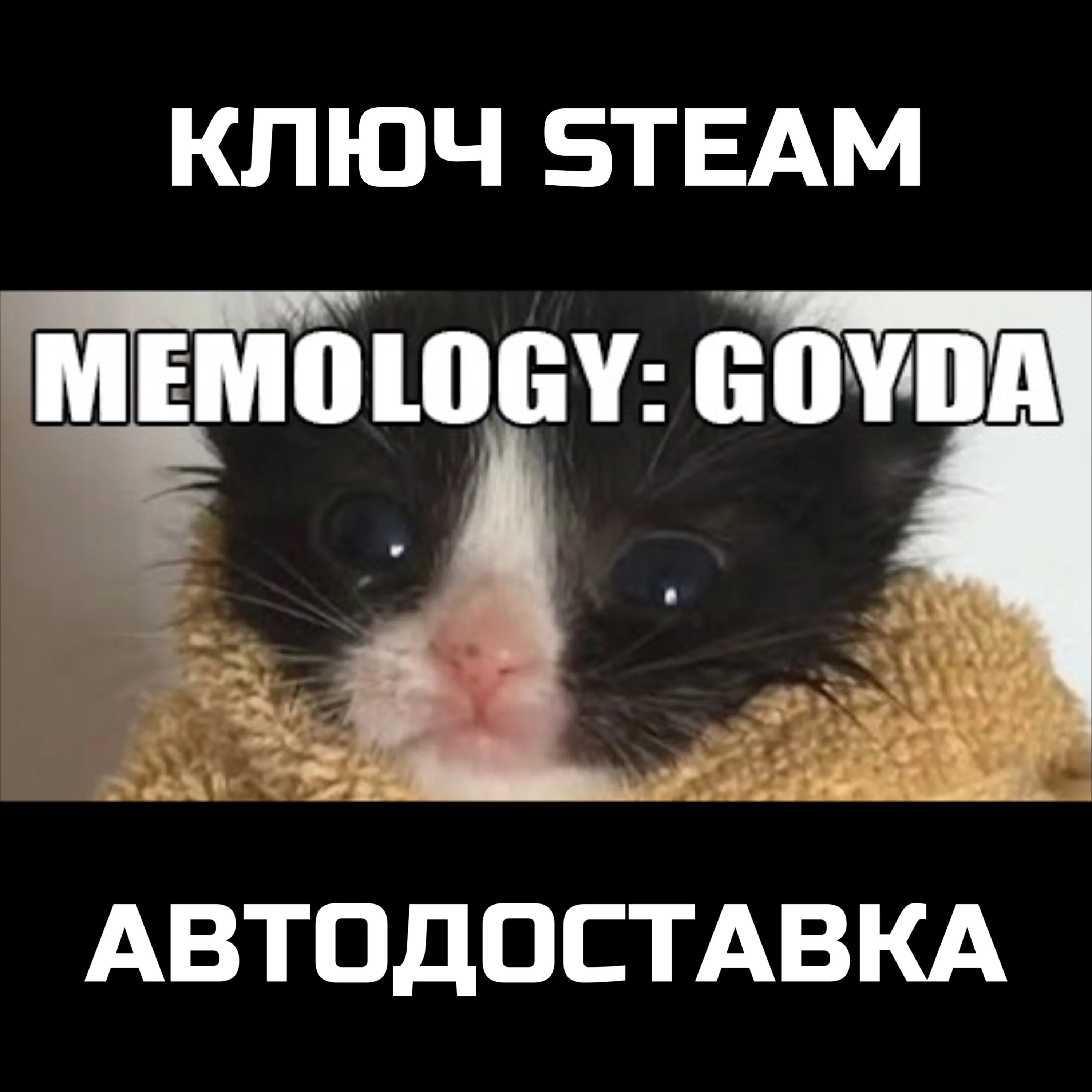 МЕМОЛОГИЯ: ЕГЭ ПО МЕМАМ