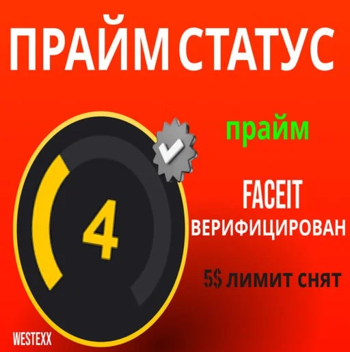 CS 2 PRIME + FACEIT C ВЕРИФИКАЦИЕЙ ТП ОТКРЫТА