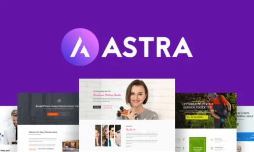 Astra Pro Plugin пожизненная оригинальная лицензия