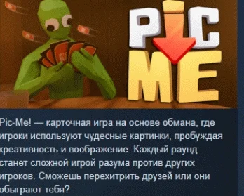 Pic-Me АВТОДОСТАВКА STEAM РОССИЯ