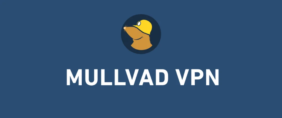 Mullvad VPN Premium2 месяца GLOBAL АВТОДОСТАВКА
