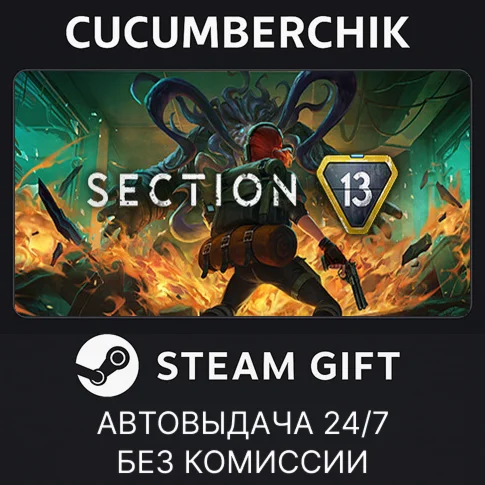 Section 13STEAM GIFT AUTORU/УКР/КЗ/СНГ