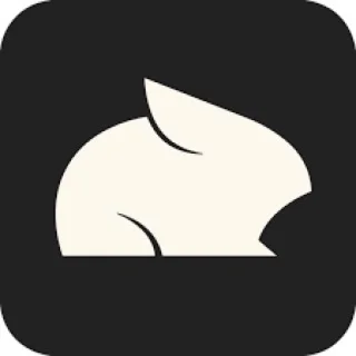 Подписка Pika AIStandard/Pro/Fancy1-12 месяцев