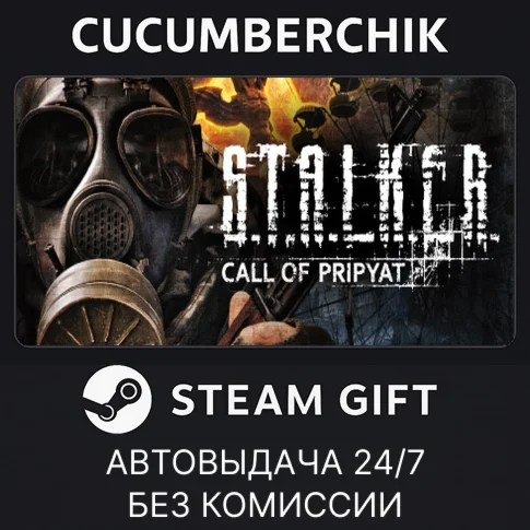 STALKER: Call of PripyatSTEAM GIFT AUTORU/ДР