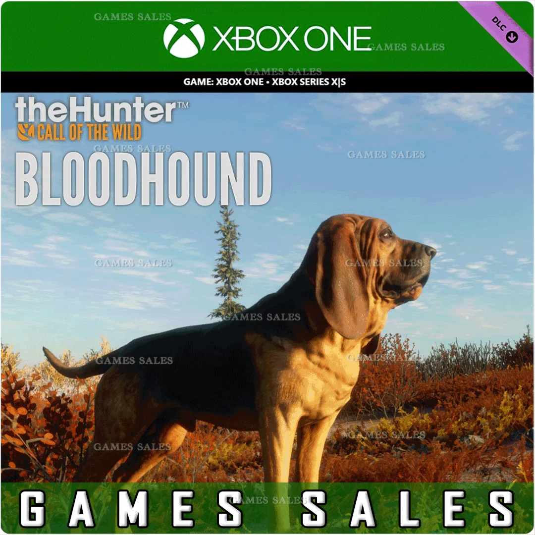 THEHUNTER: CALL OF THE WILD - BLOODHOUNDXBOXКЛЮЧ