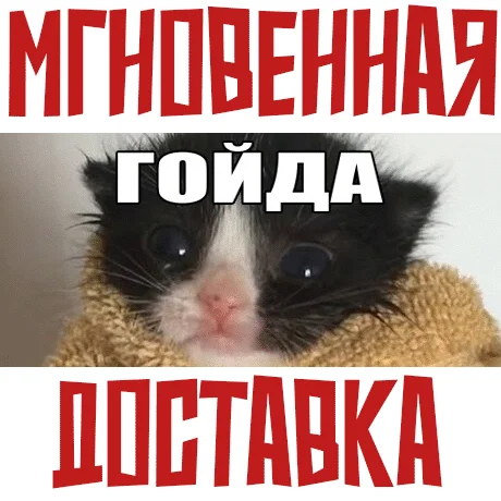 МЕМОЛОГИЯ: ЕГЭ ПО МЕМАМ SteamРФ + Весь МирKey