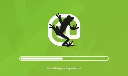 Screaming Frog SEO Spider 1 год Лицензионный ключ
