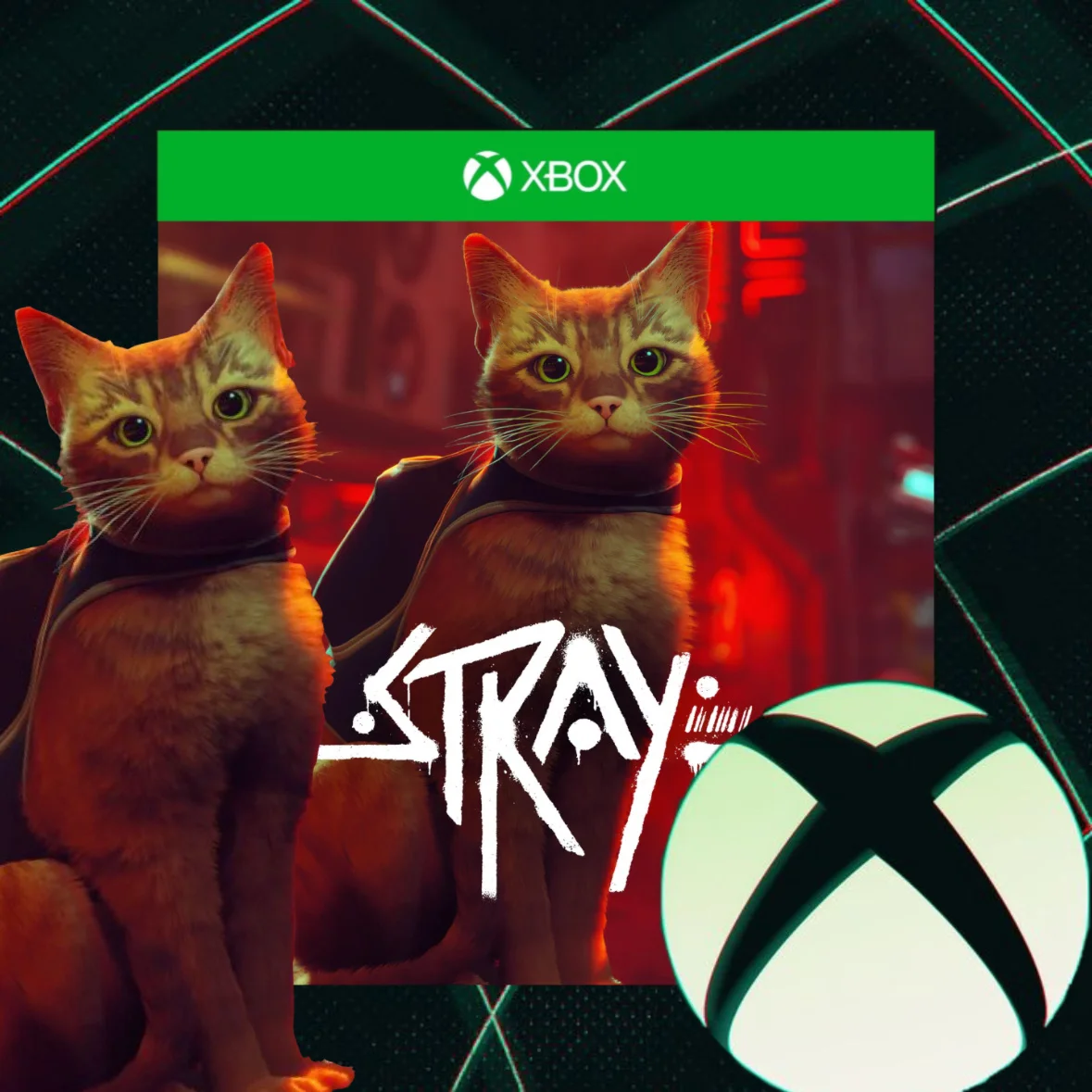 STRAY Xbox One &amp Series XS + PC АКТИВАЦИЯ