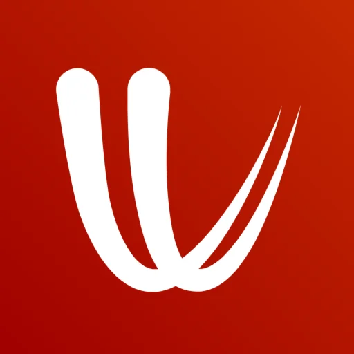 Windy Premium Подписка 12 мес на Ваш аккаунт