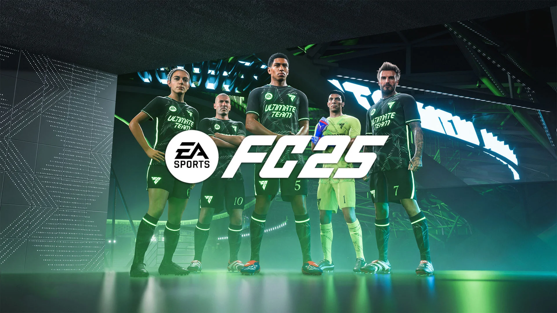 EA FC 25 Steam OFFLINE Forever