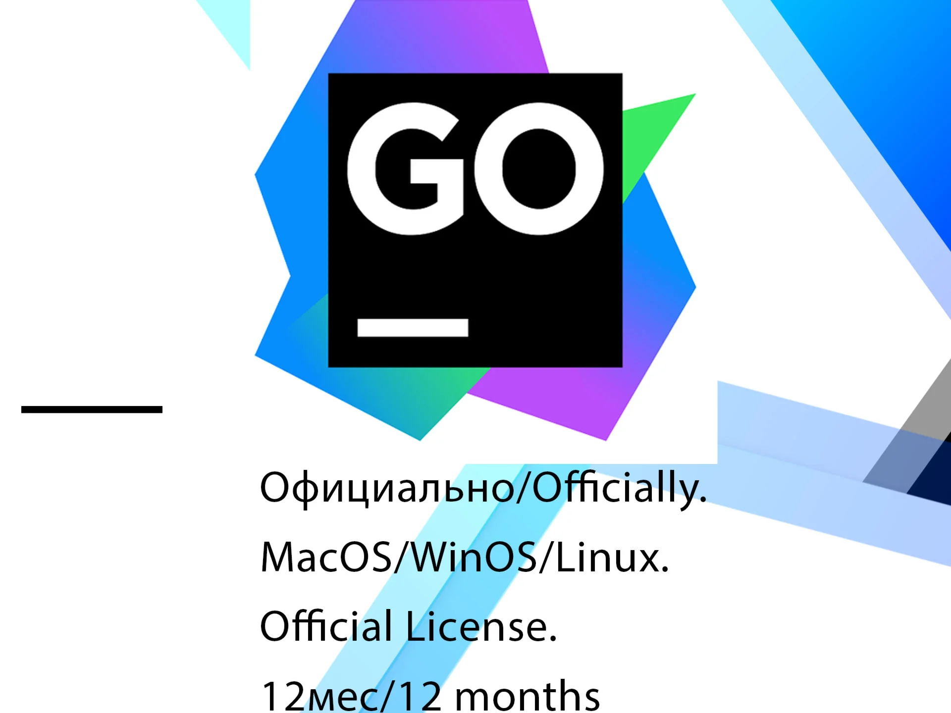 GoLand EDU JetBrains 12 мес