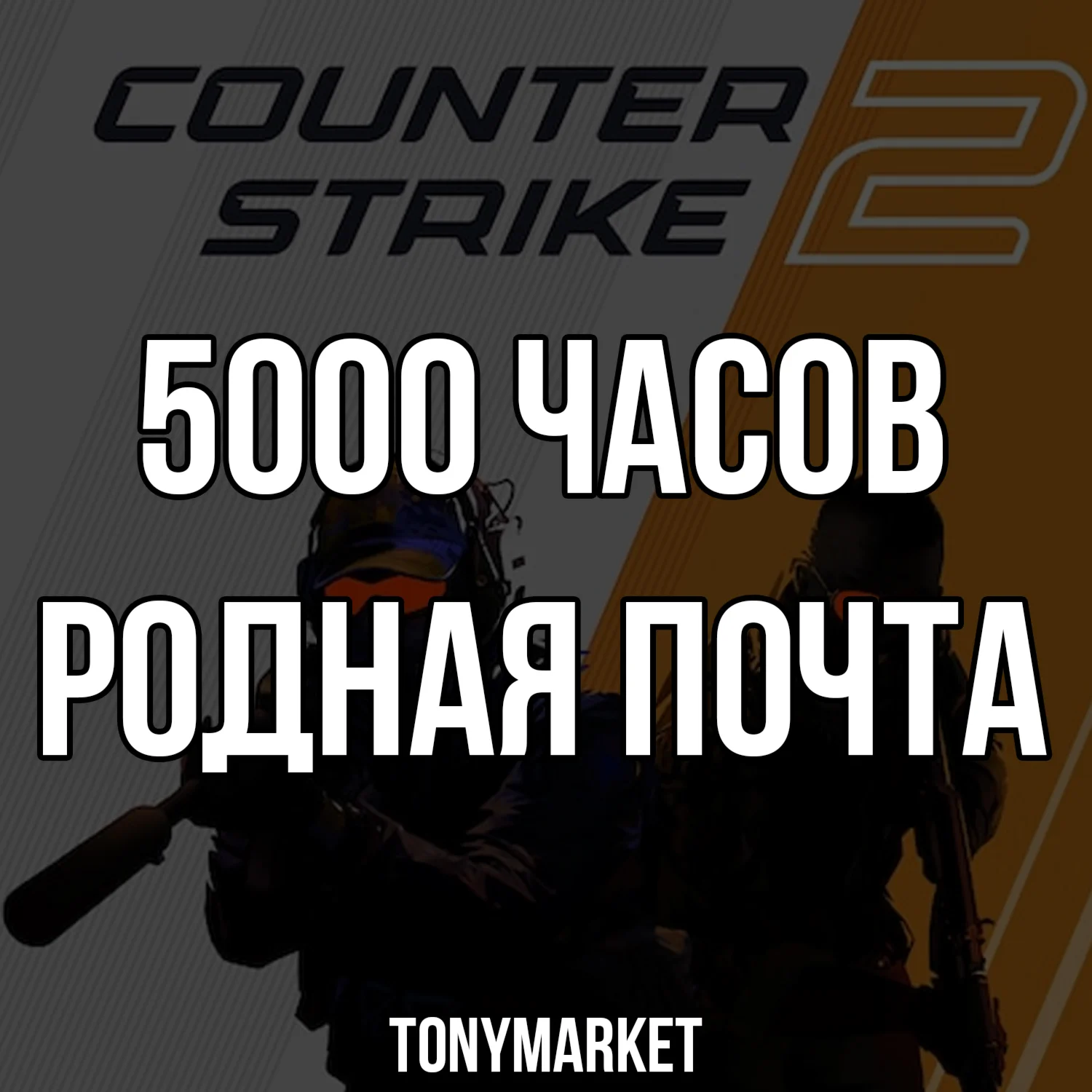 6000 ЧАСОВ Counter Strike 2 Родная почта