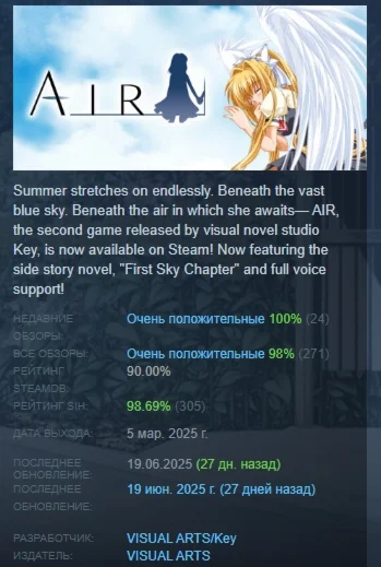 AIR 2025 АВТОДОСТАВКА STEAM РОССИЯ