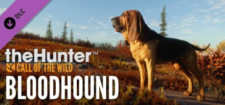 theHunter Call of the Wild - Bloodhound DLC STEAM
