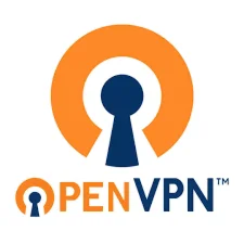 OpenVPN Франция Безлимитный трафик 1 МЕСЯЦ ovpn