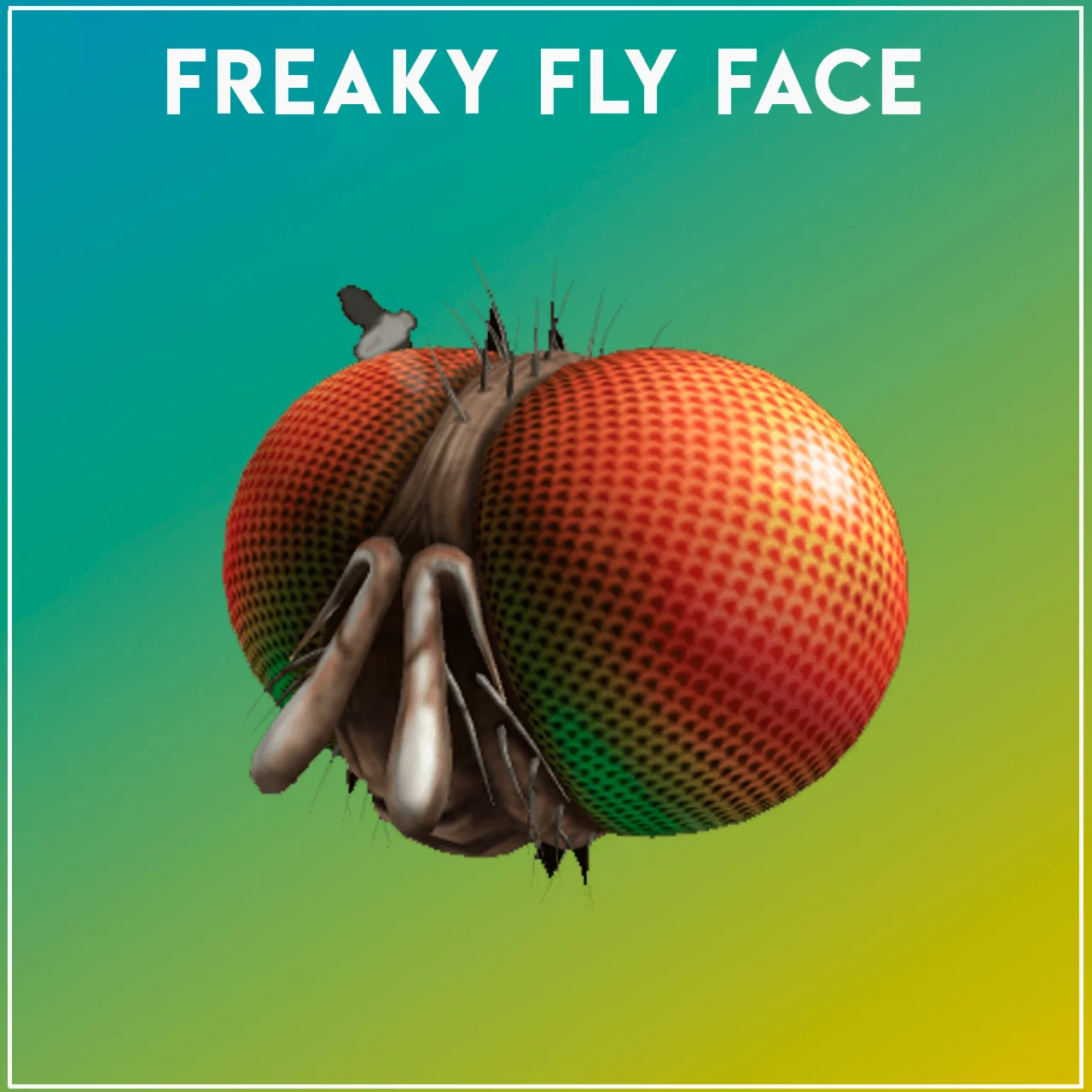 КОД Freaky Fly Face ROBLOX