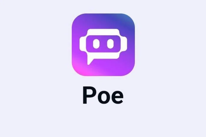 POE AI ПОДПИСКА НА ВАШ АККАУНТ 1-12 мес