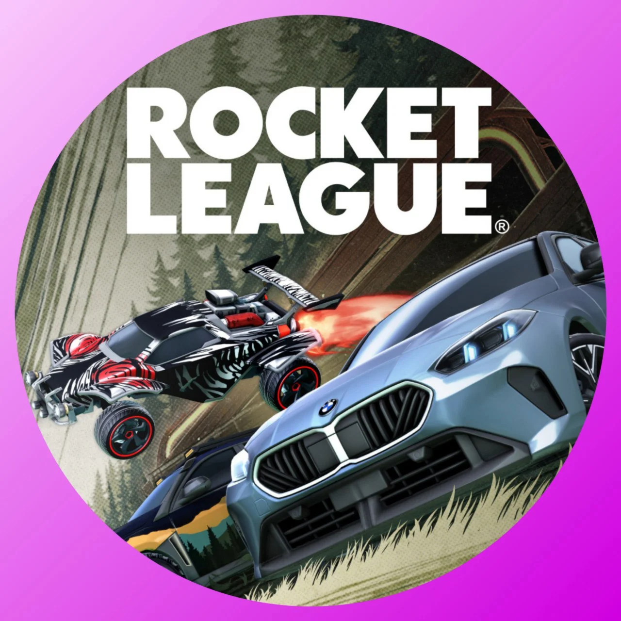 Epic Games Rocket League аккаунт + почта