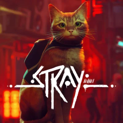STRAY STEAM КЛЮЧ
