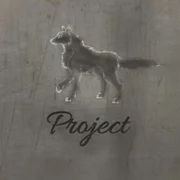 WOLF PROJECT - 1 ДЕНЬ